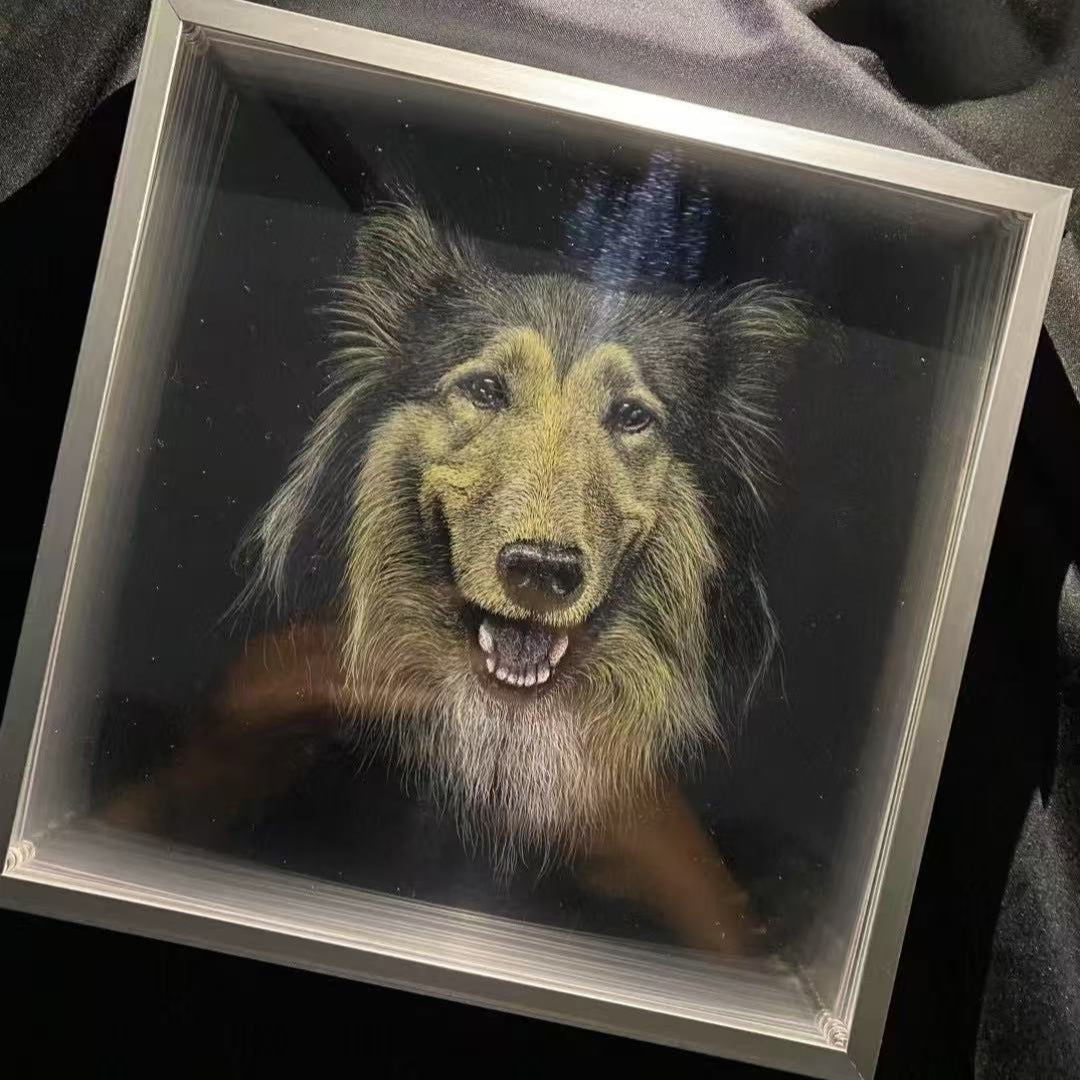 Custom 3D Pet Shadow Portrait