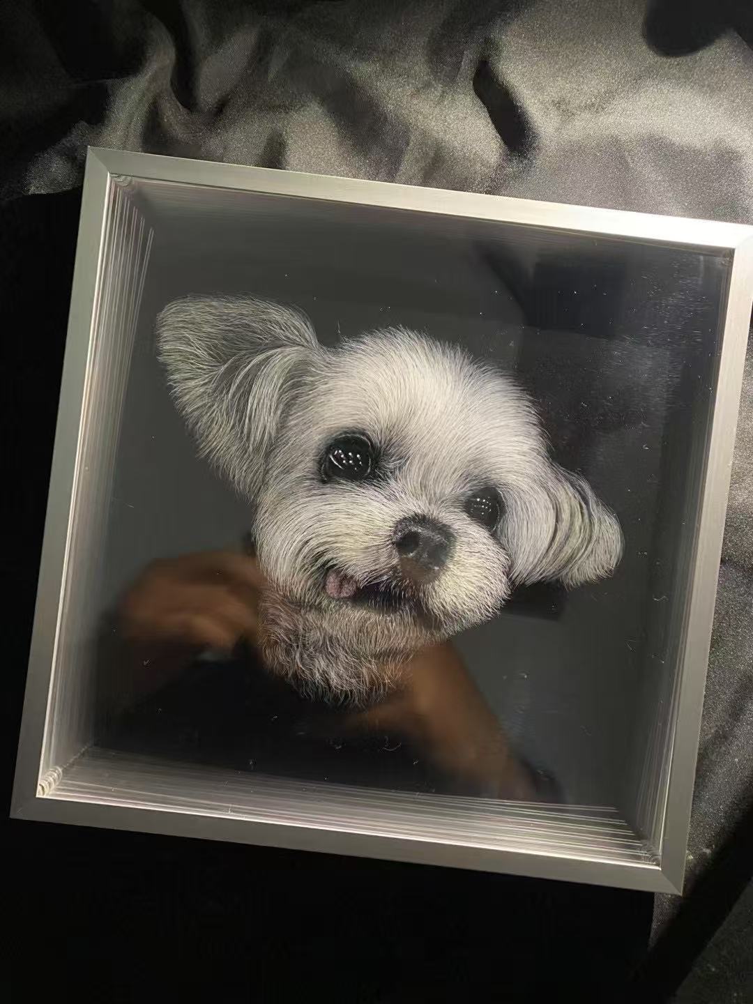 Custom 3D Pet Shadow Portrait