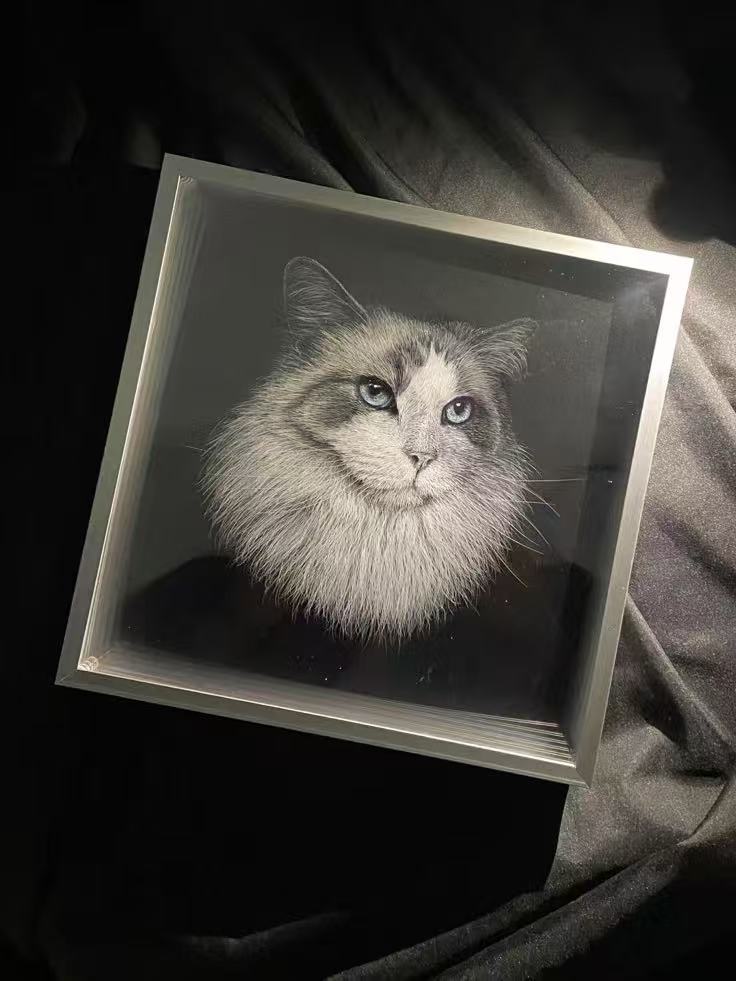 Custom 3D Pet Shadow Portrait